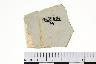     001-131.1a.JPG - Historic base sherd, decorated, from site 9EB583
        
