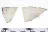     001-132.1a.JPG - Historic rim sherd, undecorated, from site 9EB495
        
