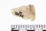     001-135.1a.JPG - Projectile point, from site 9EB495
        
