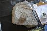 Basalt/andesite - 1. Tool sets before use (photos)