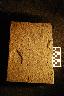 Basalt/andesite - 8. Unshaped flat grinding slab and handstone after processing Indian ricegrass, 2h and 4h (photos and...