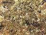     [BasaltAndesite] 3. Unused natural surface, 20x (unshaped flat grinding slab).jpg 
        
