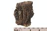     004-130.1a.JPG - Prehistoric rim sherd, decorated, Rim sherds, from site 46SU20
        
