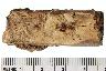     012-013.1a.JPG - "Utensil handle", metal and bone, from site 46CB41
        

