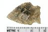     002-139.1a.JPG - Projectile point, expanded stem point, from site 46BX13
        
