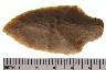     001-001.1a.JPG - Projectile point 
        
