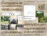 Regional Analysis of Historic Farmstead Archeological Site Characteristics on DoD Installations - Brochure (Legacy...