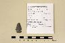     POP_PD69_FS6(1).jpg - File name indicates: projectile point_provenience designation_field specimen number. These identifiers can be checked against the Greenstone_Pueblo_5MT006970 Proj Bif Drl Data datasheet included in this project for more information.
        
