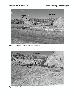 Lithic Analysis from Two Prehistoric Sites (48NA312 AND 48NA2516) Near Martin's Cove, Natrona County,...