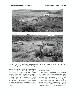 Archaeological Investigations at the MiniTrue Site (48UT1984) in the Green River Basin,...