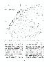 The Wyoming Archaeological Society Joseph Cramer Grant and the 1990 Archaeological Investigations at 48CR4001: The Espy-Cornwell Site, Carbon County,...