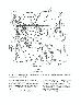 A Radiocarbon Date on the Residue Adhering to a Steatite Vessel from Southern...