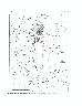 Obsidian Utilization in Prehistoric Jackson Hole