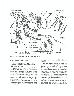 A Prehistoric Stone Line Complex from Northwest Wyoming