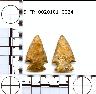 Coal Creek Research, Colorado Projectile Point, 5_FR_0020101_0024