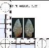     5_FR_0020101_0166.png - Coal Creek Research, Colorado Projectile Point, 5_FR_0020101_0166
        
