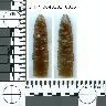     5_FR_0040101_0015.png - Coal Creek Research, Colorado Projectile Point, 5_FR_0040101_0015
        
