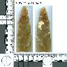 Coal Creek Research, Colorado Projectile Point, 5_FR_0040101_0017