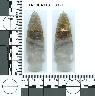 Coal Creek Research, Colorado Projectile Point, 5_FR_0040101_0021
