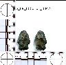 Coal Creek Research, Colorado Projectile Point, 5_FR_0060101_0042 (potential grid: #829, Alamosa...