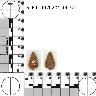     5_FR_0070201_0037.png - Coal Creek Research, Colorado Projectile Point, 5_FR_0070201_0037
        
