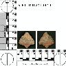 Coal Creek Research, Colorado Projectile Point, 5_FR_0110204_0014