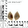 Coal Creek Research, Colorado Projectile Point, 5_FR_0130205_0001