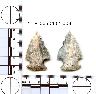 Coal Creek Research, Colorado Projectile Point, 5_IP_0050402_0031