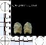     5_MO_0100100_0068.png - Coal Creek Research, Colorado Projectile Point, 5_MO_0100100_0068
        
