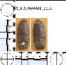 Coal Creek Research, Colorado Projectile Point, 5_MO_0160100_0019 (potential grid: #212, Camel...