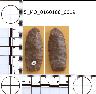 Coal Creek Research, Colorado Projectile Point, 5_MO_0160100_0019 (potential grid: #244, Hoovers...