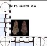     5_MO_0260701_0003-M1.png - Coal Creek Research, Colorado Projectile Point, 5_MO_0260701_0003 (potential grid: #245, Dry Creek Basin)
        
