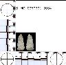     5_MO_0260701_0034-M2.png - Coal Creek Research, Colorado Projectile Point, 5_MO_0260701_0034 (potential grid: #277, Montrose West)
        
