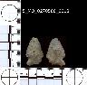     5_MO_0270500_0018-M1.png - Coal Creek Research, Colorado Projectile Point, 5_MO_0270500_0018 (potential grid: #245, Dry Creek Basin)
        

