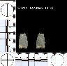     5_MO_0270905_0036-M1.png - Coal Creek Research, Colorado Projectile Point, 5_MO_0270905_0036 (potential grid: #245, Dry Creek Basin)
        
