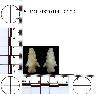     5_MO_0320100_0109-M1.png - Coal Creek Research, Colorado Projectile Point, 5_MO_0320100_0109 (potential grid: #245, Dry Creek Basin)
        
