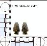     5_MO_0320100_0117-M2.png - Coal Creek Research, Colorado Projectile Point, 5_MO_0320100_0117 (potential grid: #277, Montrose West)
        
