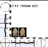     5_MO_0320100_0128-M2.png - Coal Creek Research, Colorado Projectile Point, 5_MO_0320100_0128 (potential grid: #277, Montrose West)
        
