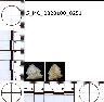     5_MO_0320100_0251-M2.png - Coal Creek Research, Colorado Projectile Point, 5_MO_0320100_0251 (potential grid: #278, Government Springs)
        
