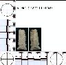     5_MO_0320100_0269-M2.png - Coal Creek Research, Colorado Projectile Point, 5_MO_0320100_0269 (potential grid: #278, Government Springs)
        
