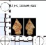     5_MO_0320100_0280-M2.png - Coal Creek Research, Colorado Projectile Point, 5_MO_0320100_0280 (potential grid: #278, Government Springs)
        
