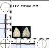     5_MO_0320100_0308-M1.png - Coal Creek Research, Colorado Projectile Point, 5_MO_0320100_0308 (potential grid: #215, Sanborn Park)
        
