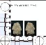     5_MO_0320100_0350-M1.png - Coal Creek Research, Colorado Projectile Point, 5_MO_0320100_0350 (potential grid: #245, Dry Creek Basin)
        
