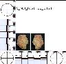     5_MO_0320100_0360-M1.png - Coal Creek Research, Colorado Projectile Point, 5_MO_0320100_0360 (potential grid: #245, Dry Creek Basin)
        
