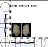     5_MO_0320100_0375-M2.png - Coal Creek Research, Colorado Projectile Point, 5_MO_0320100_0375 (potential grid: #213, Davis Point)
        
