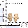     5_MO_0320100_0376-M1.png - Coal Creek Research, Colorado Projectile Point, 5_MO_0320100_0376 (potential grid: #212, Camel Back)
        
