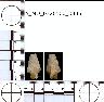     5_MO_0320100_0386-M2.png - Coal Creek Research, Colorado Projectile Point, 5_MO_0320100_0386 (potential grid: #213, Davis Point)
        
