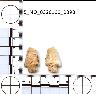     5_MO_0320100_0390-M2.png - Coal Creek Research, Colorado Projectile Point, 5_MO_0320100_0390 (potential grid: #213, Davis Point)
        
