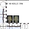     5_MO_0320100_0392-M1.png - Coal Creek Research, Colorado Projectile Point, 5_MO_0320100_0392 (potential grid: #212, Camel Back)
        
