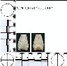     5_MO_0320100_0432-M2.png - Coal Creek Research, Colorado Projectile Point, 5_MO_0320100_0432 (potential grid: #213, Davis Point)
        
